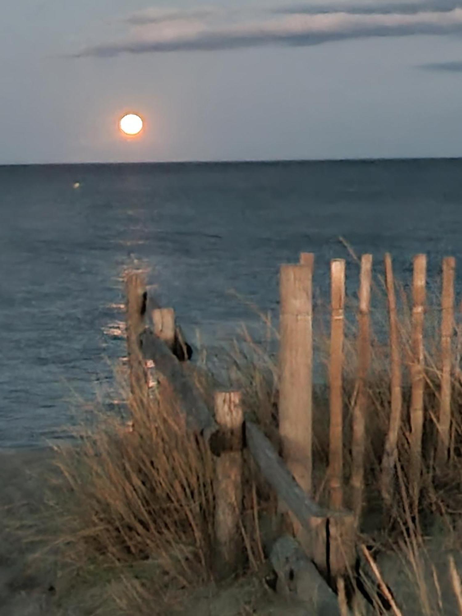 Torreilles Plage: Villa Atypique Bord De Mer Mediterranee Экстерьер фото